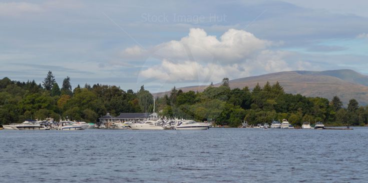 A collection of powerboats and cruisers moored at loch lomond, Scotland image