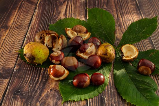 Chestnuts Sitting On Table