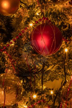 Red Christmas Bauble On Christmas Tree