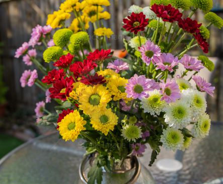 Mix of vibrant colours from spring flowers sitting in vase image