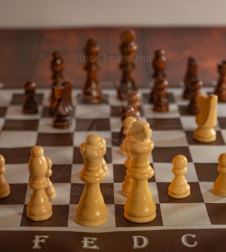Chess game close up shot focused on the white King and Queen image