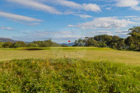 Very low down shot looking from rough towards green on golf course image