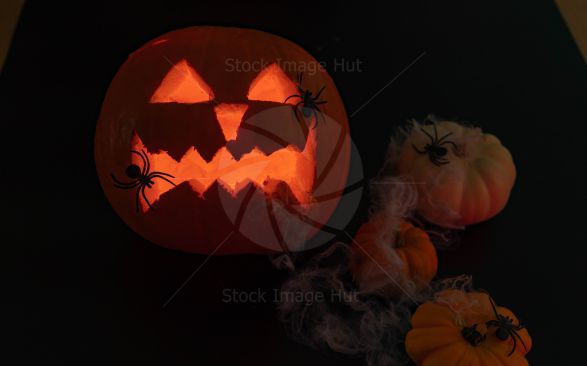 Halloween Pumpkins And Spiders