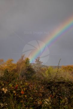 Rainbow forming on a wet autumn day
