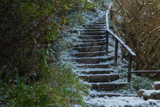 Steps through woodland covered in snow
