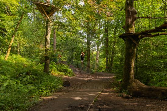 Swinging from tree to tree on a zip-line through the woods