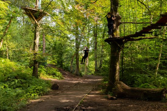 People having fun on a zip-line going through woods image